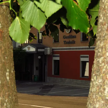 ゲストハウス Gostilna Tratnik *