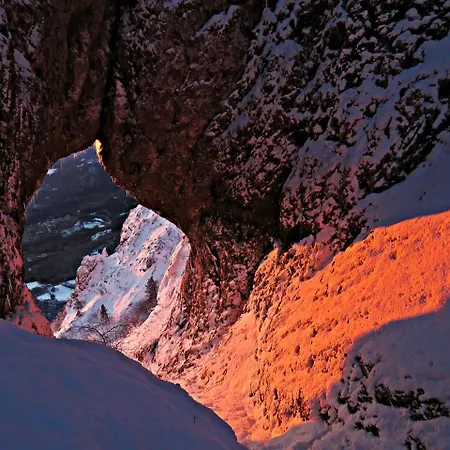 Gostilna Tratnik ゲストハウス