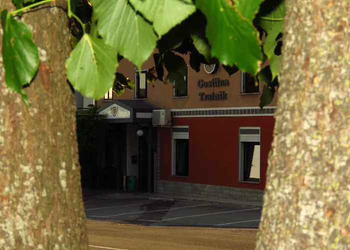 Gæstehus Gostilna Tratnik *