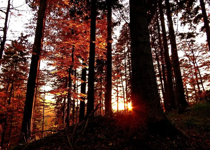 Gostilna Tratnik Konukevi