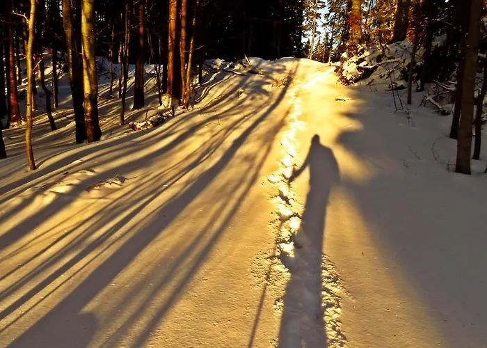 Konukevi Gostilna Tratnik Zoll
