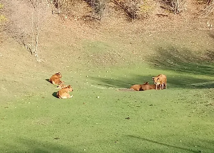 Gostilna Tratnik * Zoll